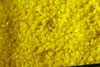 sunflower yellow 100