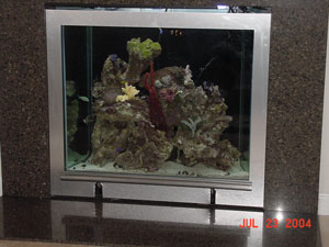 tank 2