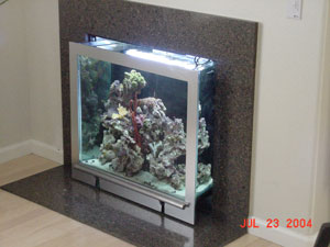 tank 4