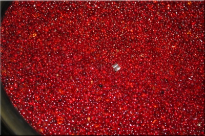 Mini Beads Red 73642 3